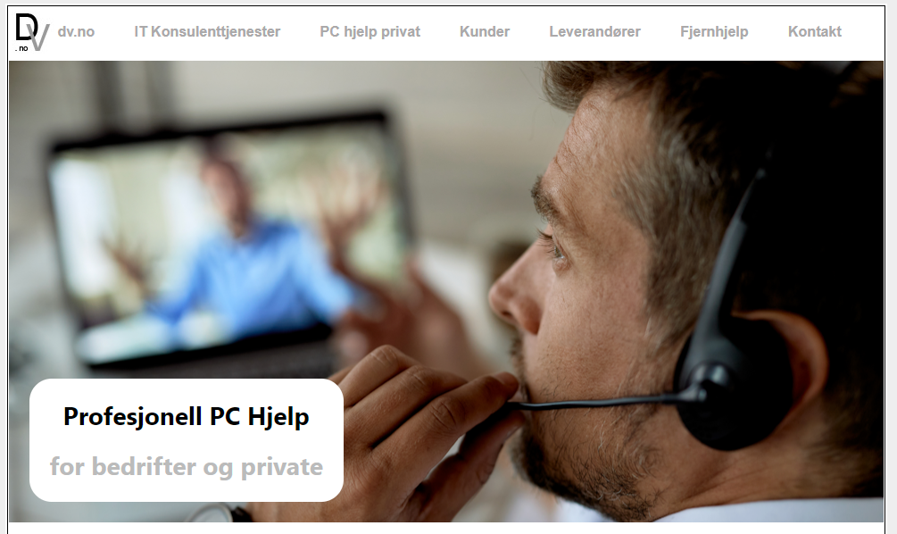 Delta Vision Pedersen logo